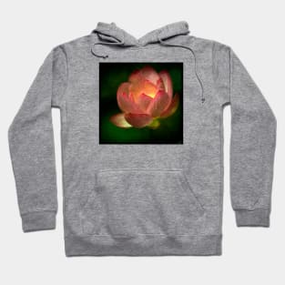 The Magick Lotus Hoodie